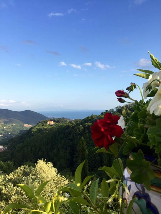 Bed and Breakfast La Riggiola Salerno Exterior foto